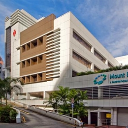 Reviews of Mount Elizabeth Hospital in Mount Elizabeth, Singapore